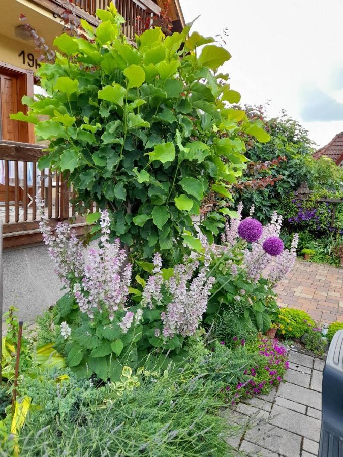 Ferienwohnung Harmonia Vendeghaz 100 Meterre Az Igali Gyogyfuerdotol Exterior foto