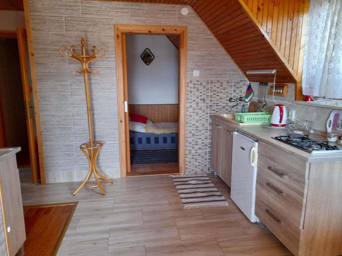 Ferienwohnung Harmonia Vendeghaz 100 Meterre Az Igali Gyogyfuerdotol Exterior foto