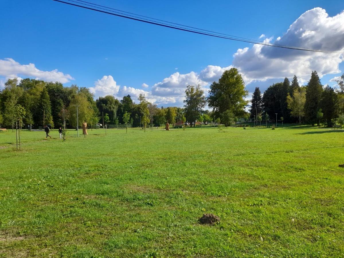 Ferienwohnung Harmonia Vendeghaz 100 Meterre Az Igali Gyogyfuerdotol Exterior foto