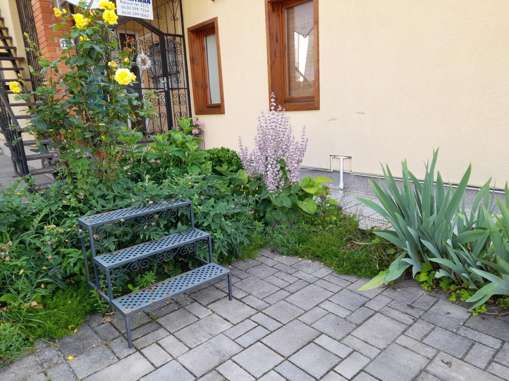 Ferienwohnung Harmonia Vendeghaz 100 Meterre Az Igali Gyogyfuerdotol Exterior foto