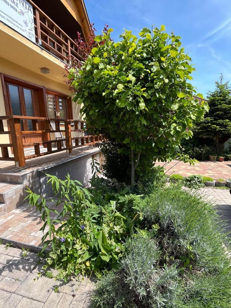 Ferienwohnung Harmonia Vendeghaz 100 Meterre Az Igali Gyogyfuerdotol Exterior foto